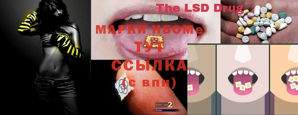 прущий лед Вяземский