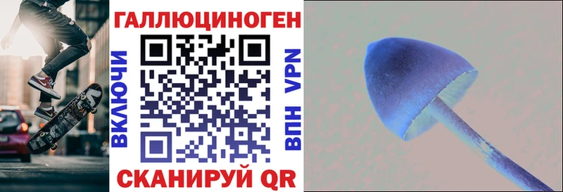 Псилоцибиновые грибы ЛСД  Камень-на-Оби 